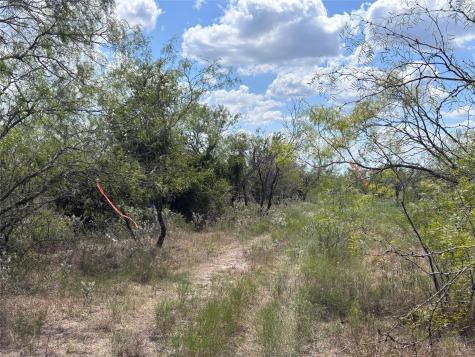 Tbd 10.04 Ac County Road 413 Thorndale TX 76577