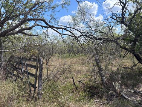 Tbd 10.04 Ac County Road 413 Thorndale TX 76577
