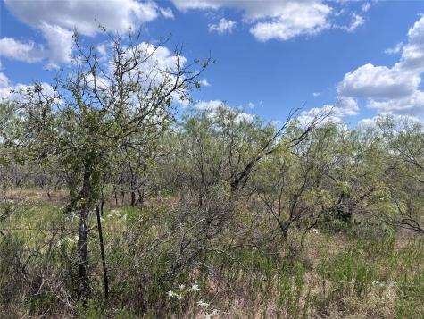 Tbd 10.04 Ac County Road 413 Thorndale TX 76577