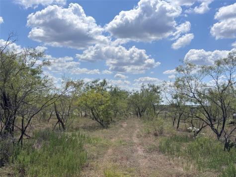 Tbd 10.04 Ac County Road 413 Thorndale TX 76577