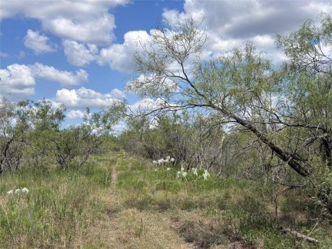 Tbd 10.04 Ac County Road 413 Thorndale TX 76577