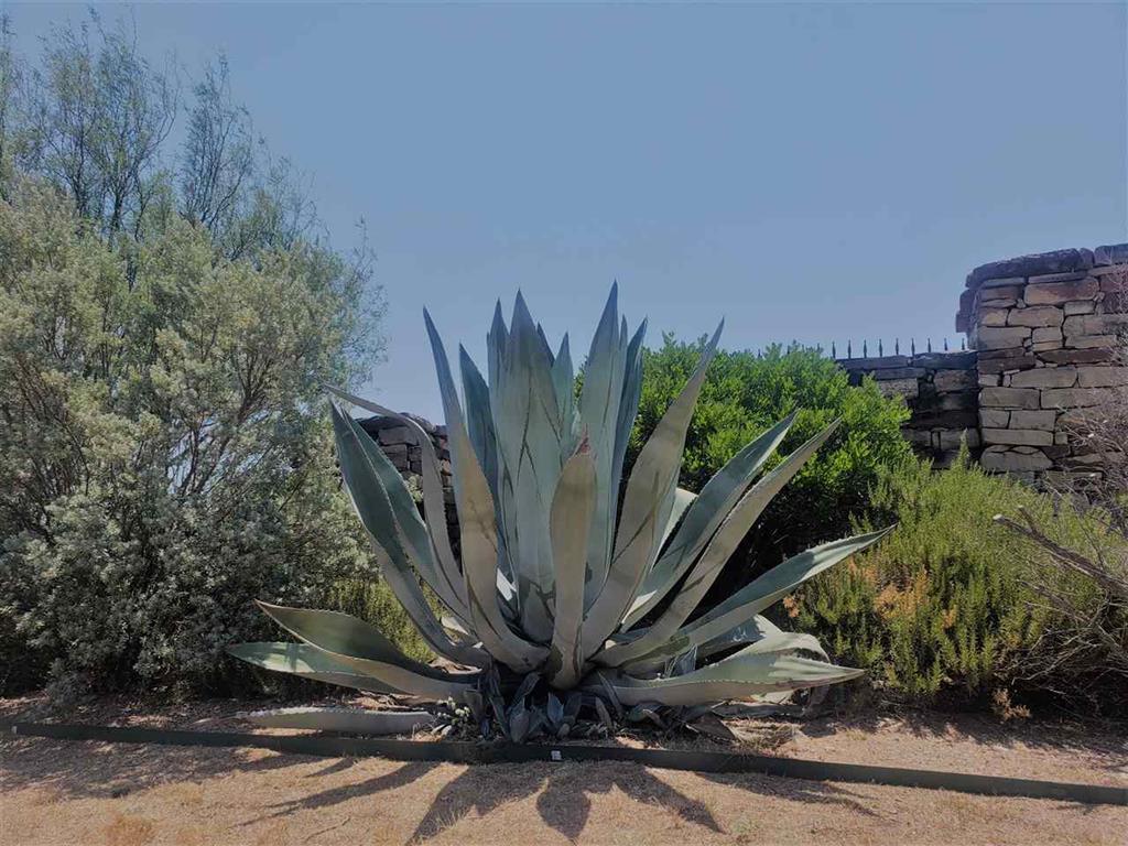 Lot 27 Sierra Bluff Buchanan Dam TX 78609