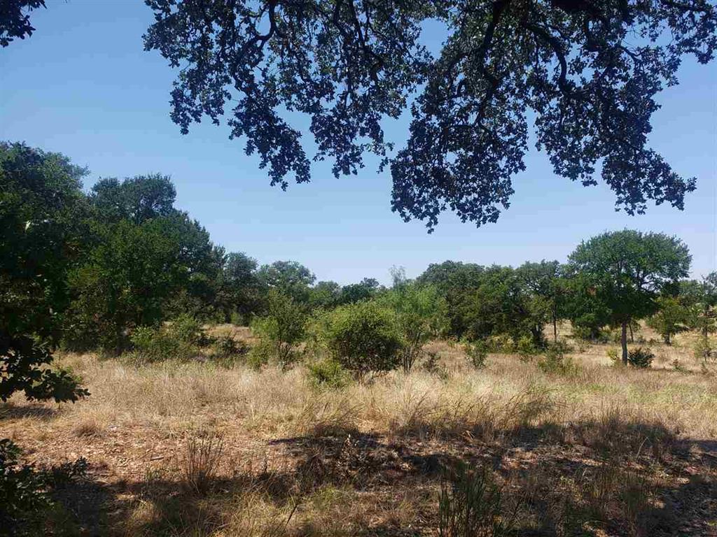 Lot 27 Sierra Bluff Buchanan Dam TX 78609
