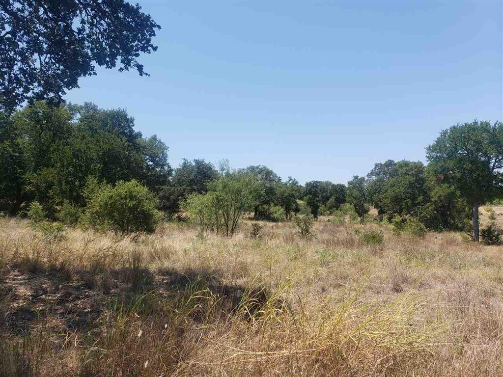 Lot 27 Sierra Bluff Buchanan Dam TX 78609