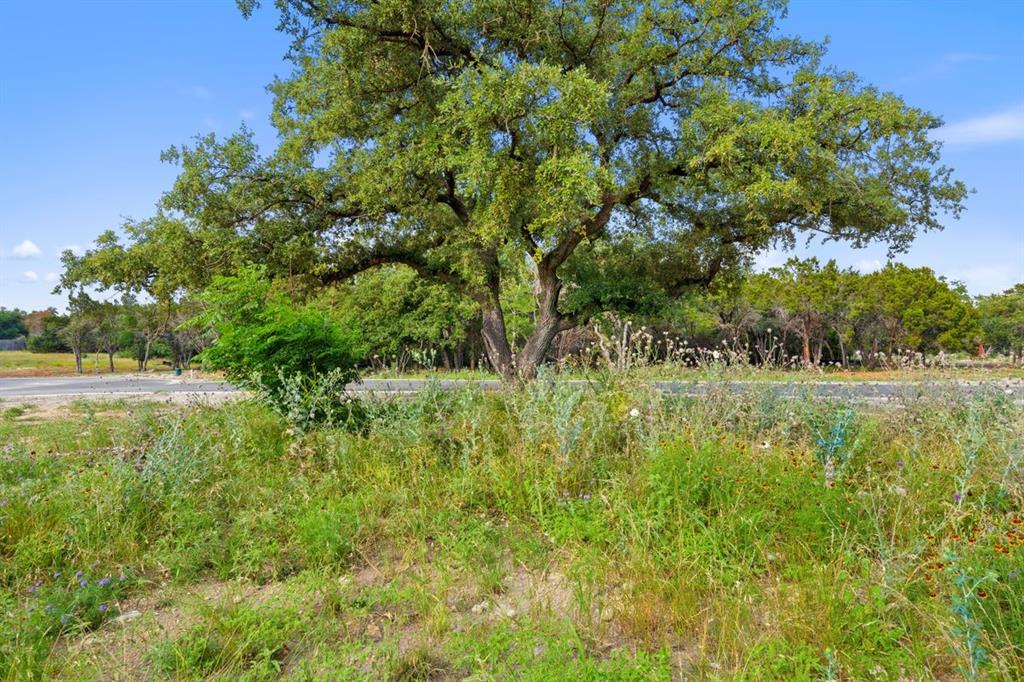 105 King Air Cove Georgetown TX 78628