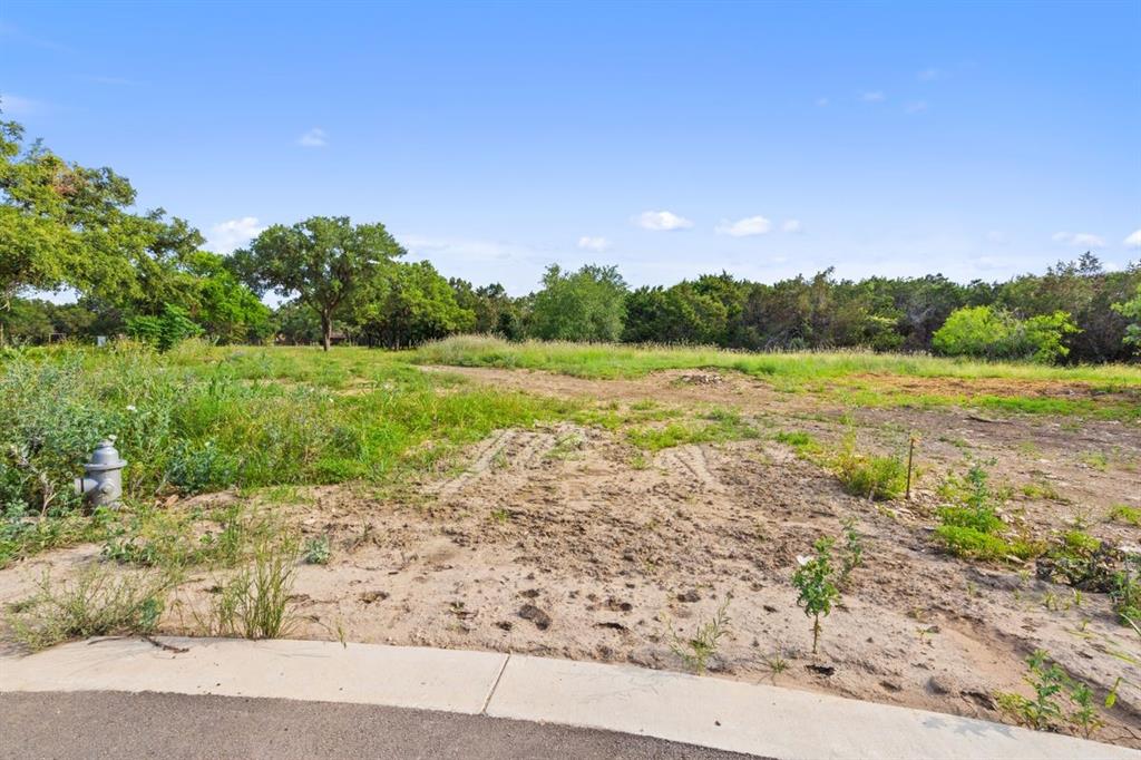 105 King Air Cove Georgetown TX 78628