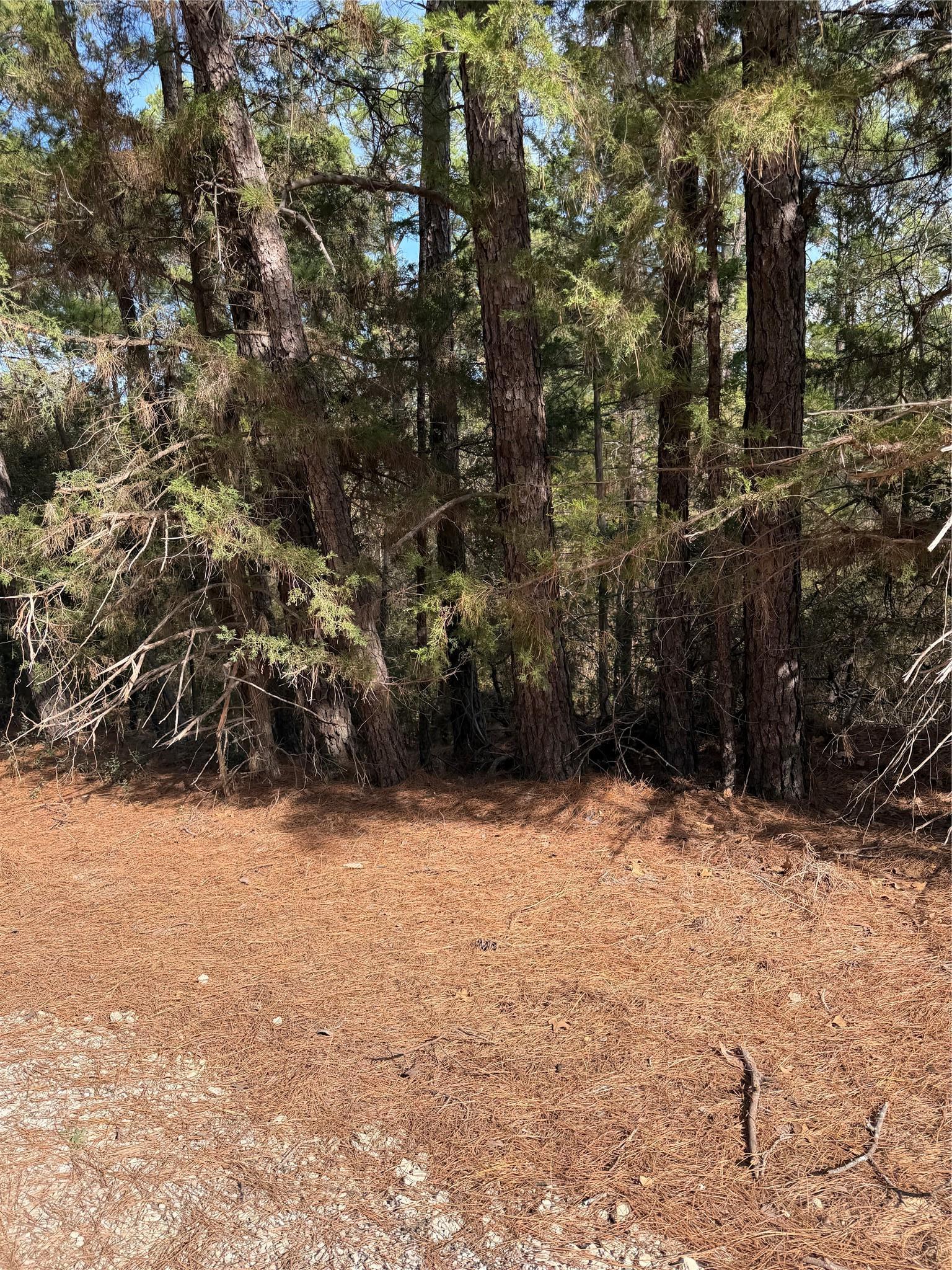 Lot 266 Wainee Drive Bastrop TX 78602