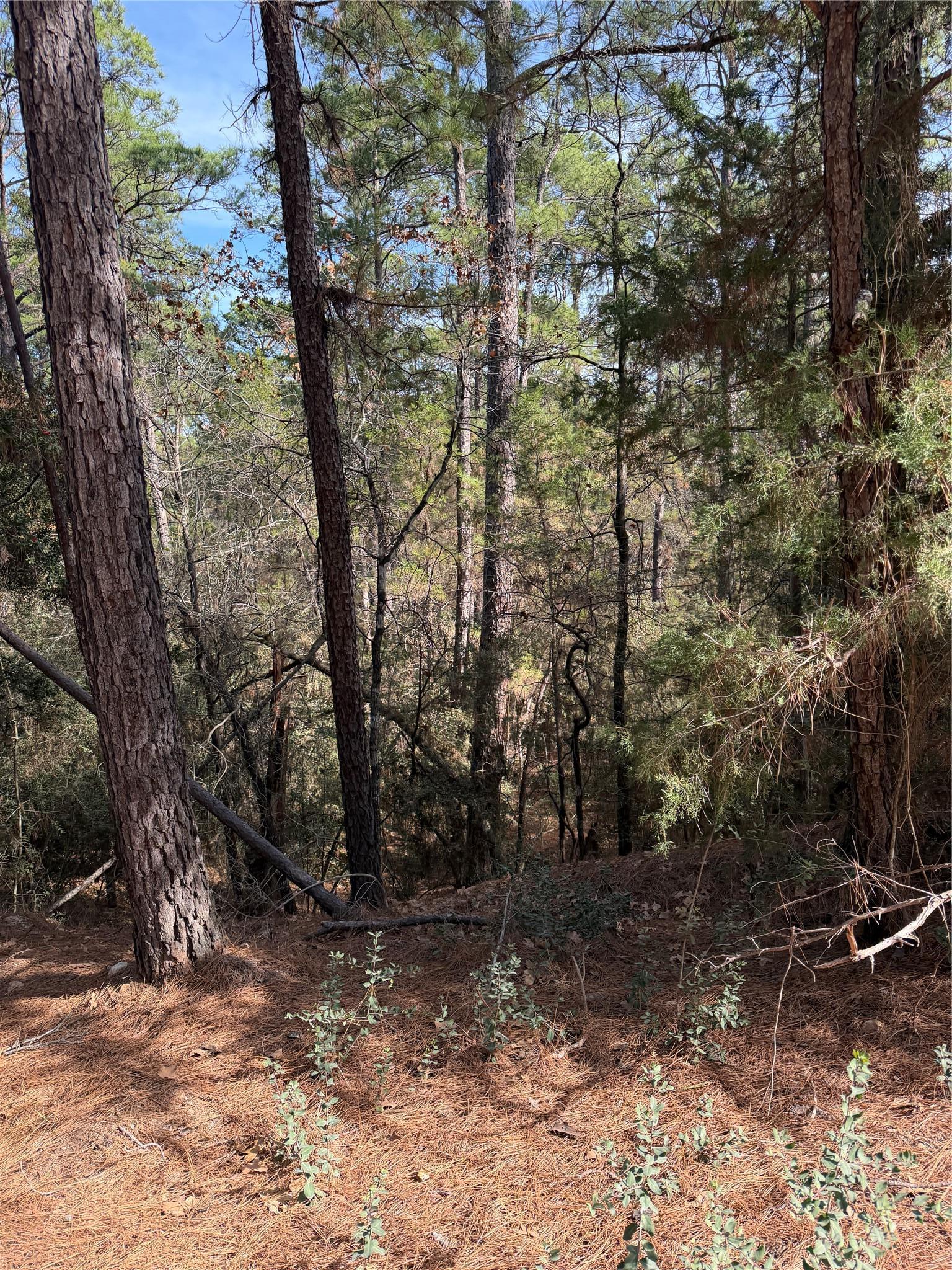 Lot 266 Wainee Drive Bastrop TX 78602