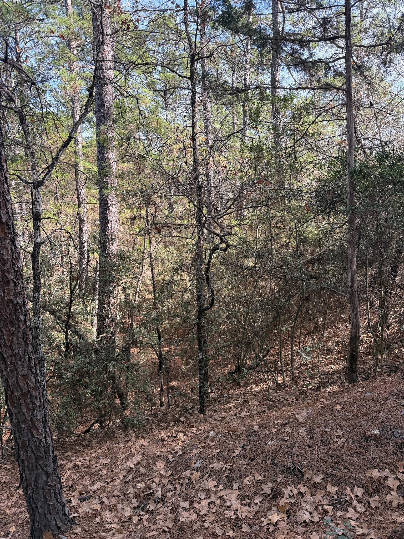 Lot 266 Wainee Drive Bastrop TX 78602