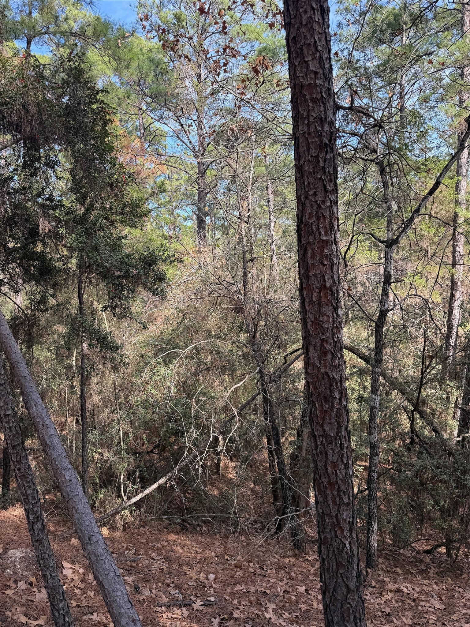 Lot 266 Wainee Drive Bastrop TX 78602