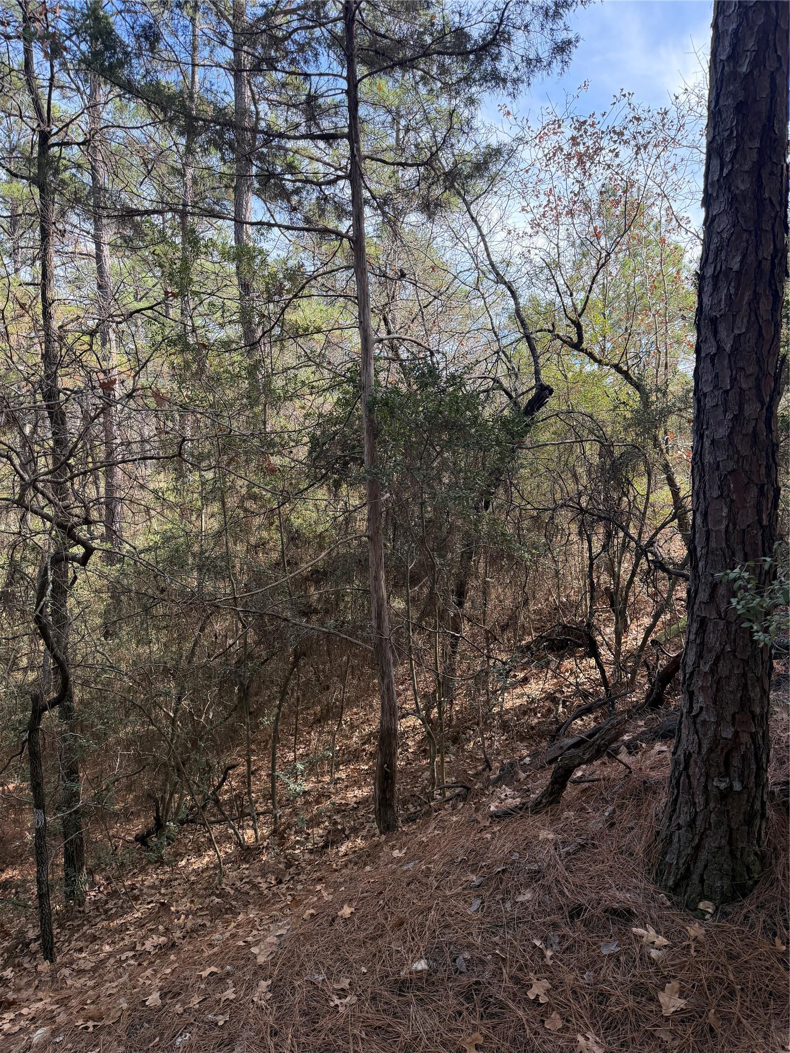 Lot 266 Wainee Drive Bastrop TX 78602
