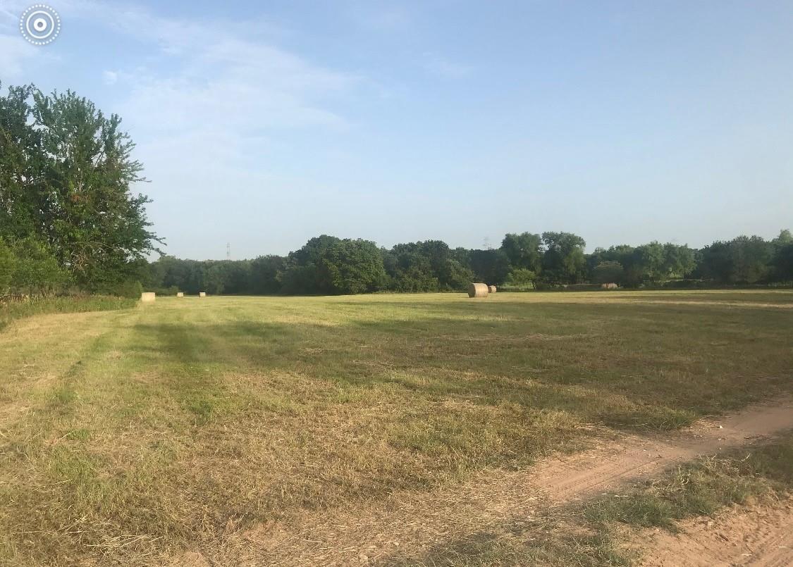 1500 County Road 481 Thrall TX 76578