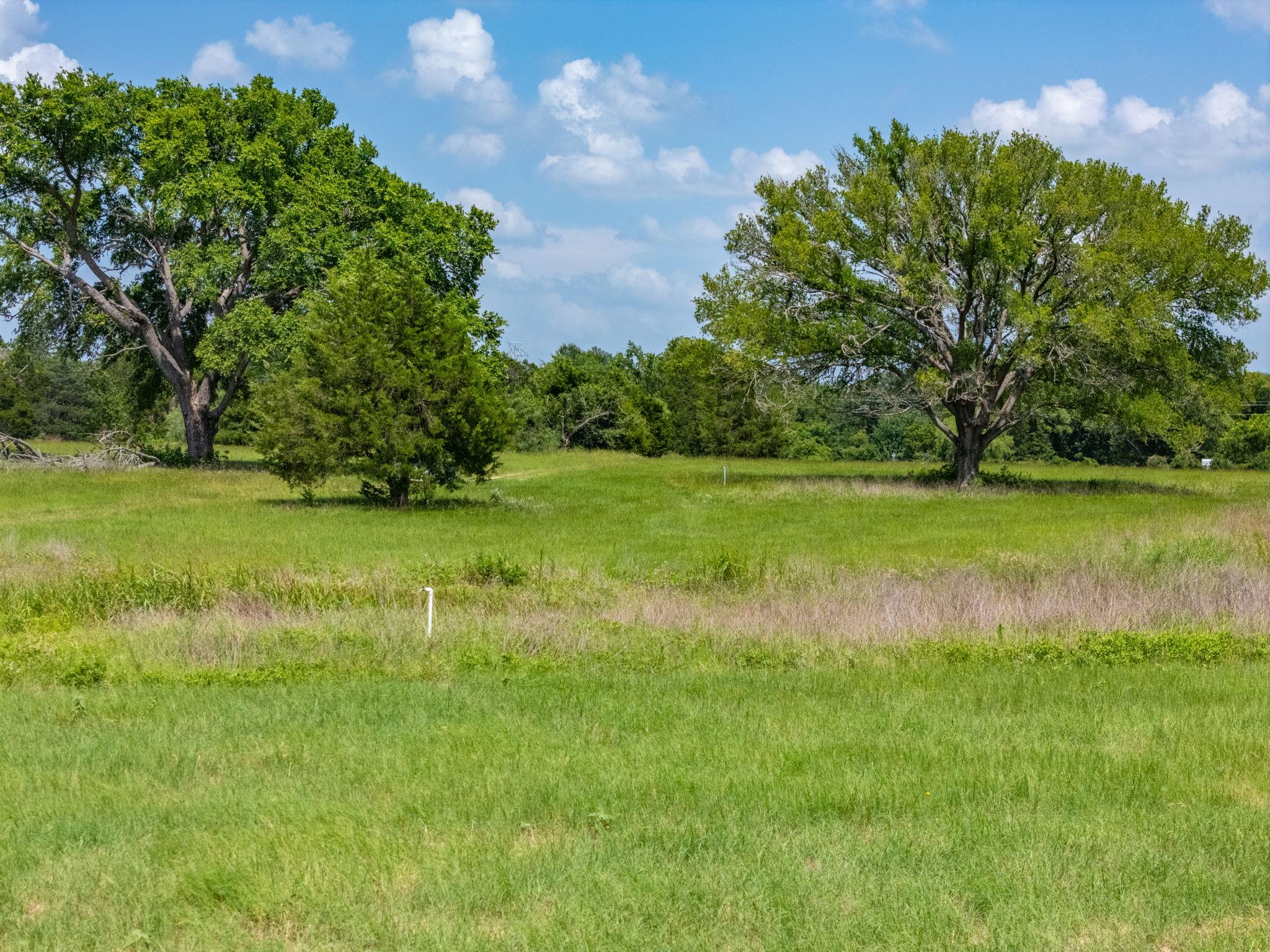 1500 County Road 481 Thrall TX 76578