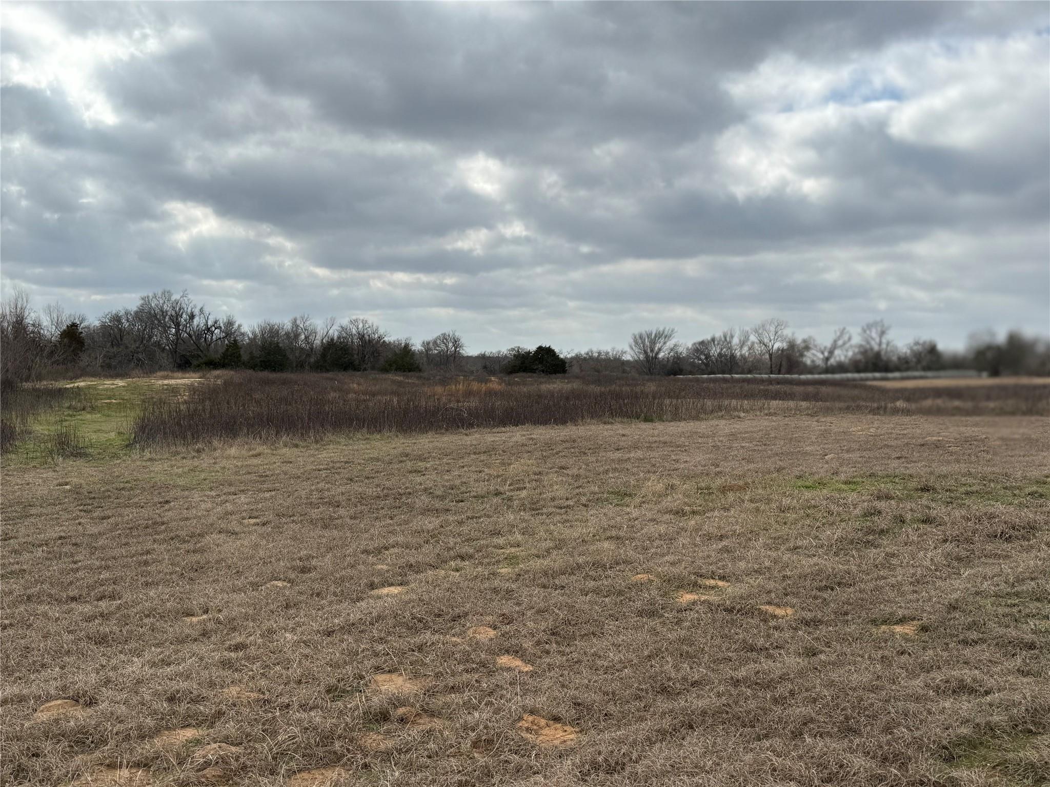 1500 County Road 481 Thrall TX 76578