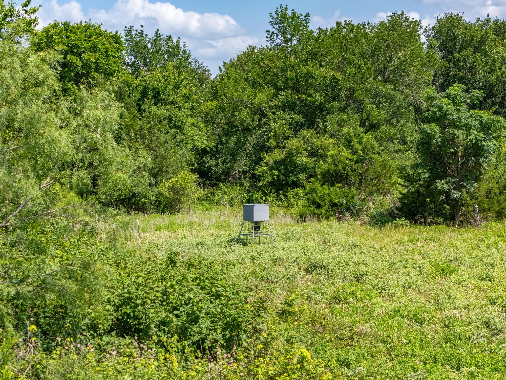 1500 County Road 481 Thrall TX 76578