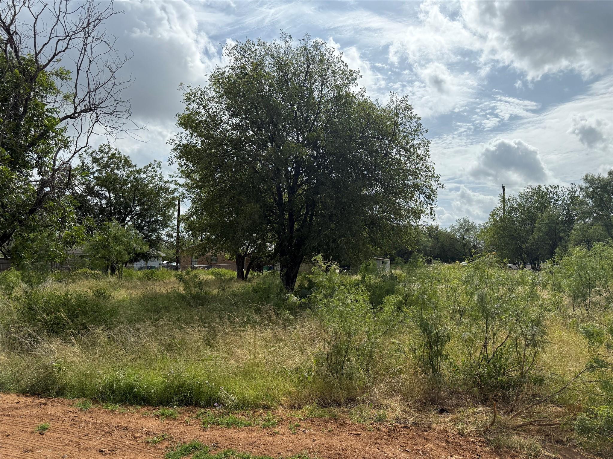 Lot 458 & 459 Fir Lane Cottonwood Shores TX 78657