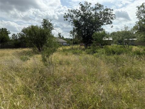 Lot 458 & 459 Fir Lane Cottonwood Shores TX 78657