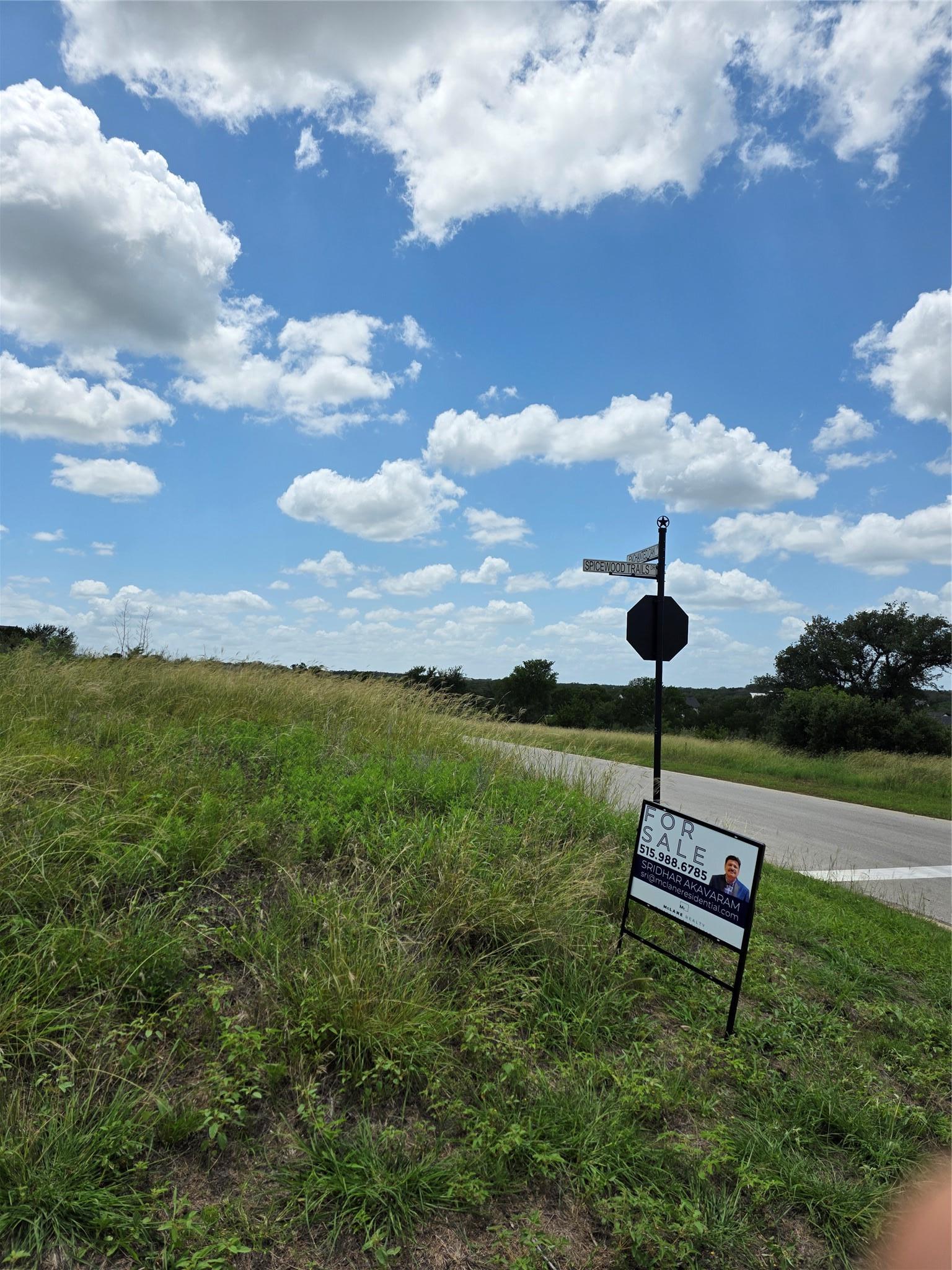 Lot 206 Enchanted Oak Point Spicewood TX 78669