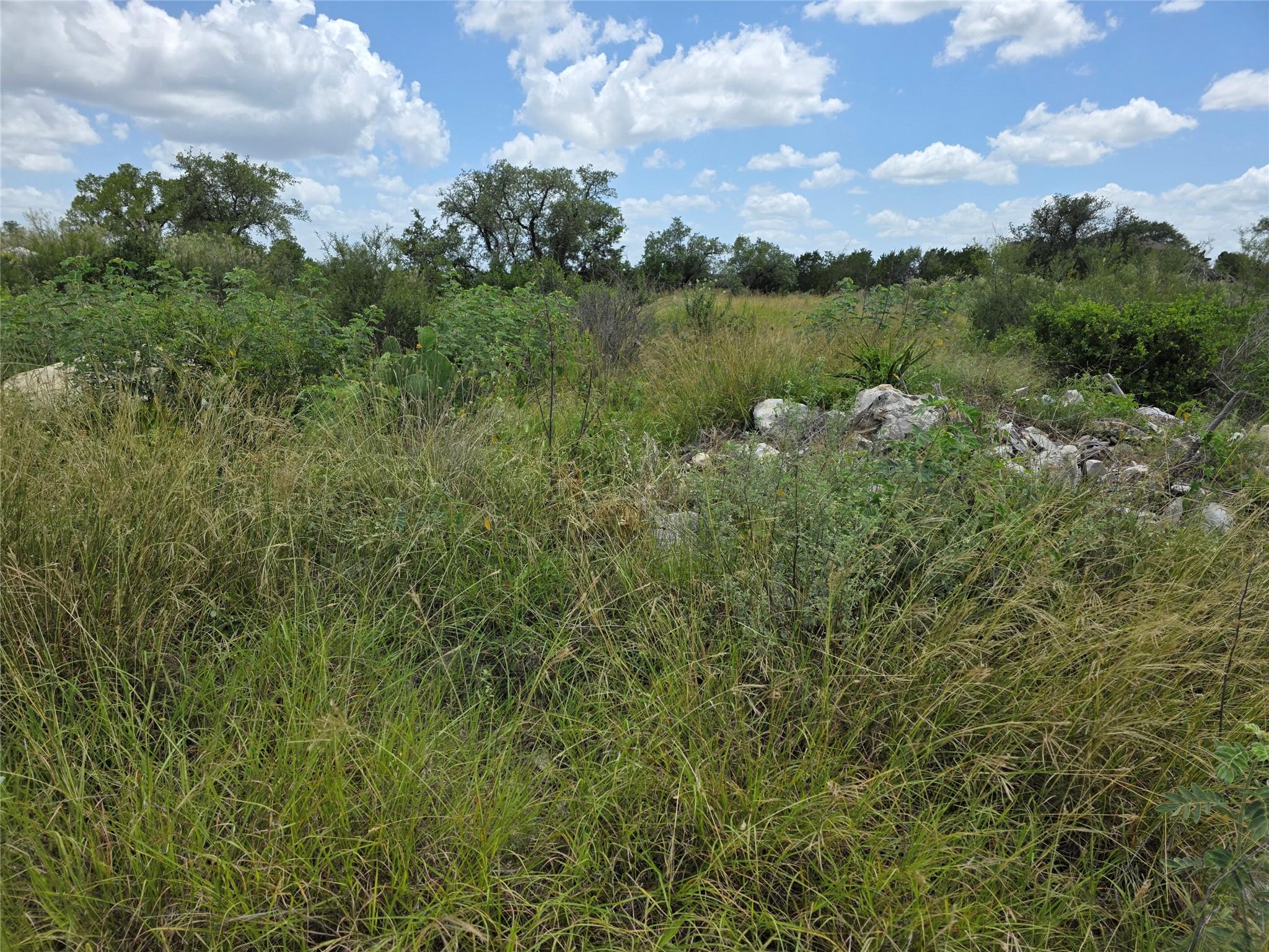 Lot 206 Enchanted Oak Point Spicewood TX 78669