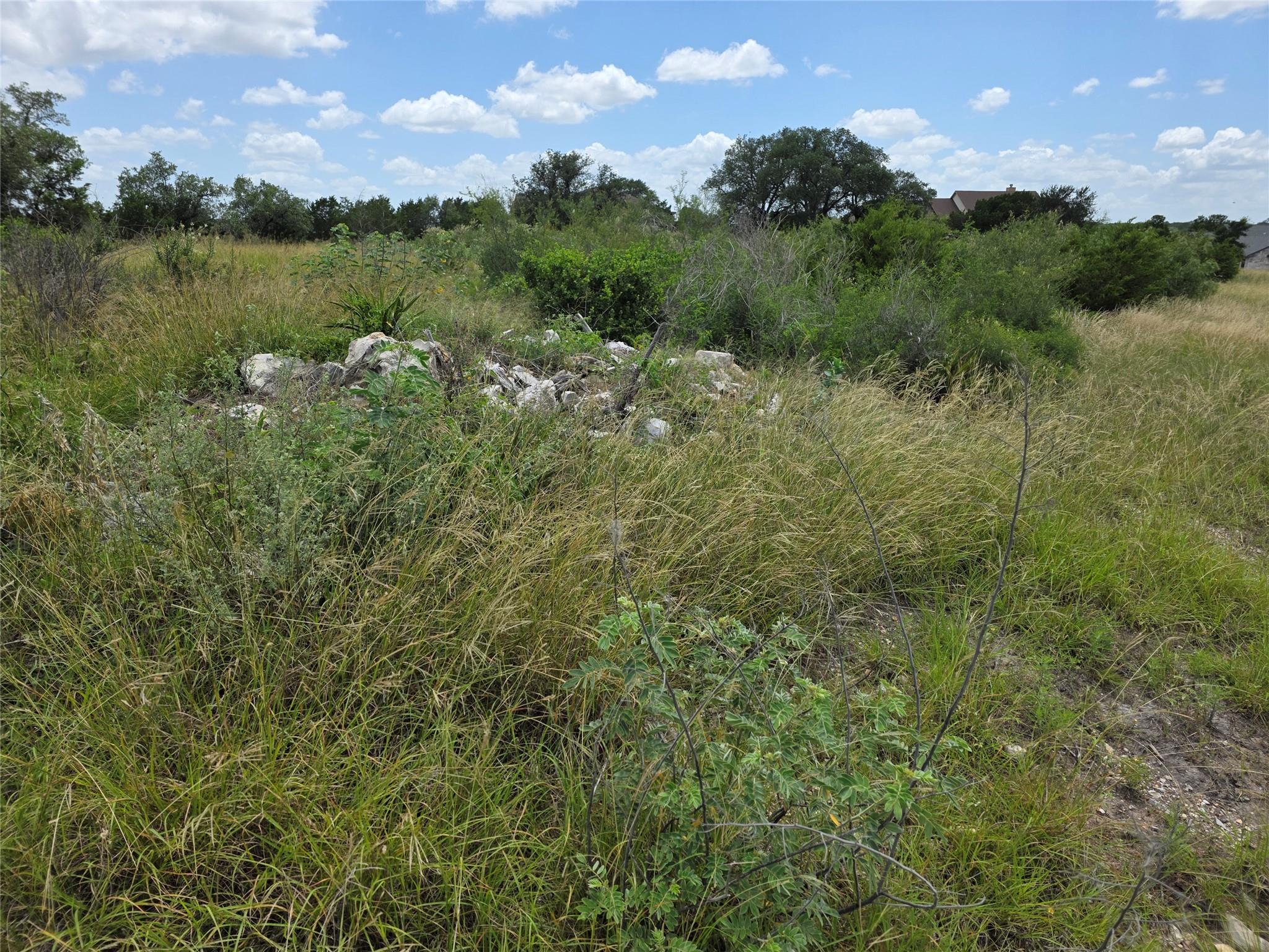 Lot 206 Enchanted Oak Point Spicewood TX 78669