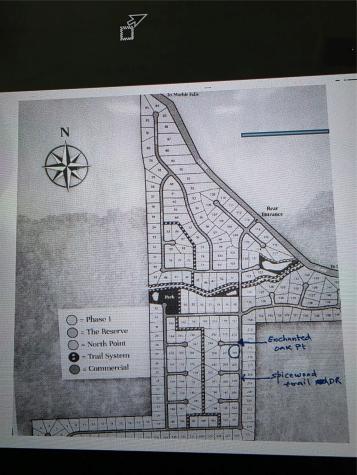 Lot 206 Enchanted Oak Point Spicewood TX 78669