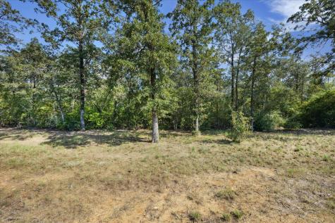 Lot 29 Walleye Creek Trail Lexington TX 78947