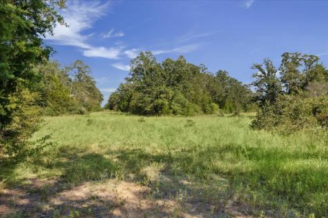Lot 29 Walleye Creek Trail Lexington TX 78947