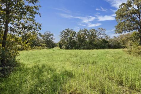 Lot 29 Walleye Creek Trail Lexington TX 78947