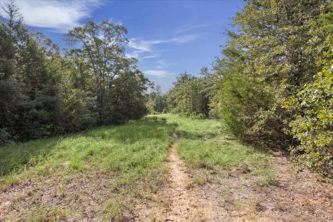 Lot 29 Walleye Creek Trail Lexington TX 78947