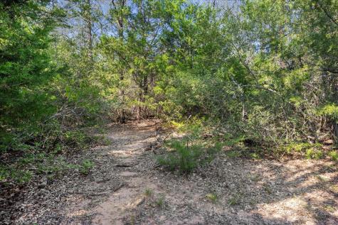 Lot 29 Walleye Creek Trail Lexington TX 78947