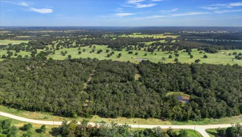 Lot 29 Walleye Creek Trail Lexington TX 78947