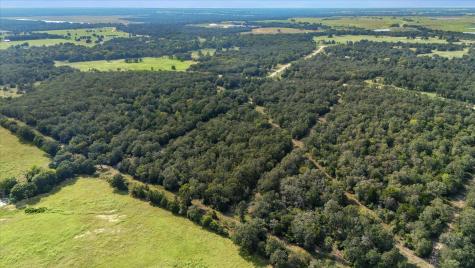 Lot 29 Walleye Creek Trail Lexington TX 78947
