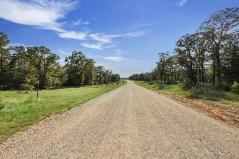 Lot 29 Walleye Creek Trail Lexington TX 78947