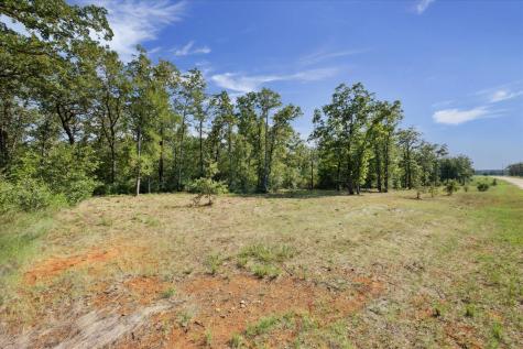 Lot 29 Walleye Creek Trail Lexington TX 78947