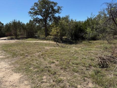 3.9 Acres Synergy Drive Bastrop TX 78602