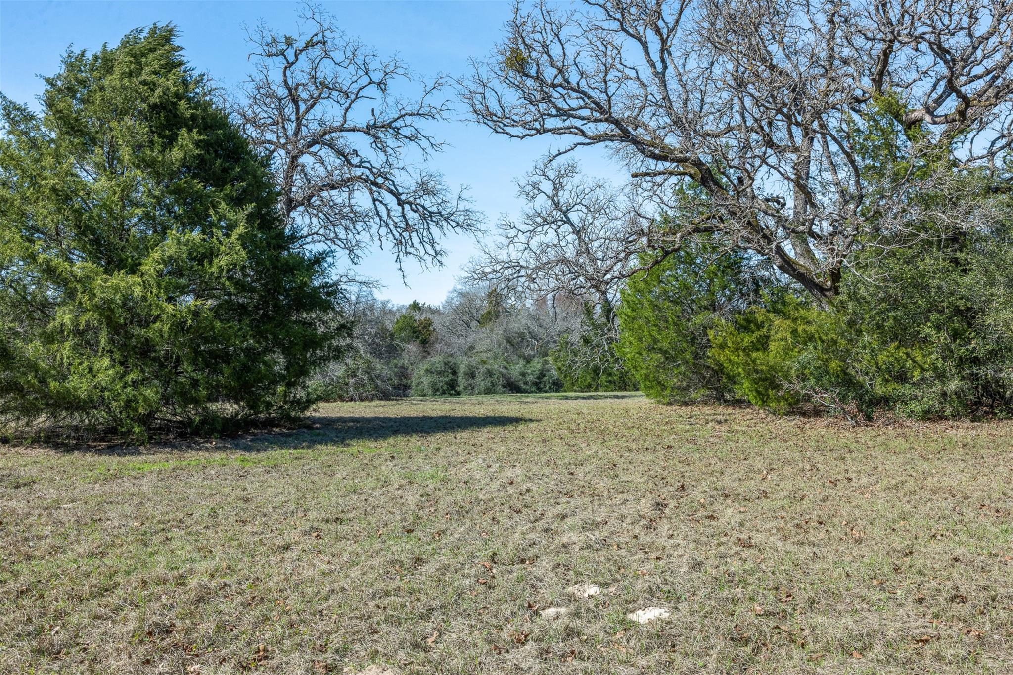 Lot 5 (2.74 Acres) Pauline Lane Caldwell TX 77836