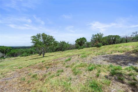 Wolf Creek Ranch Lot 1b1a Fm 2341 Ranch N Burnet TX 78611