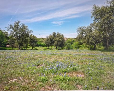 26006 Masters Parkway Spicewood TX 78669