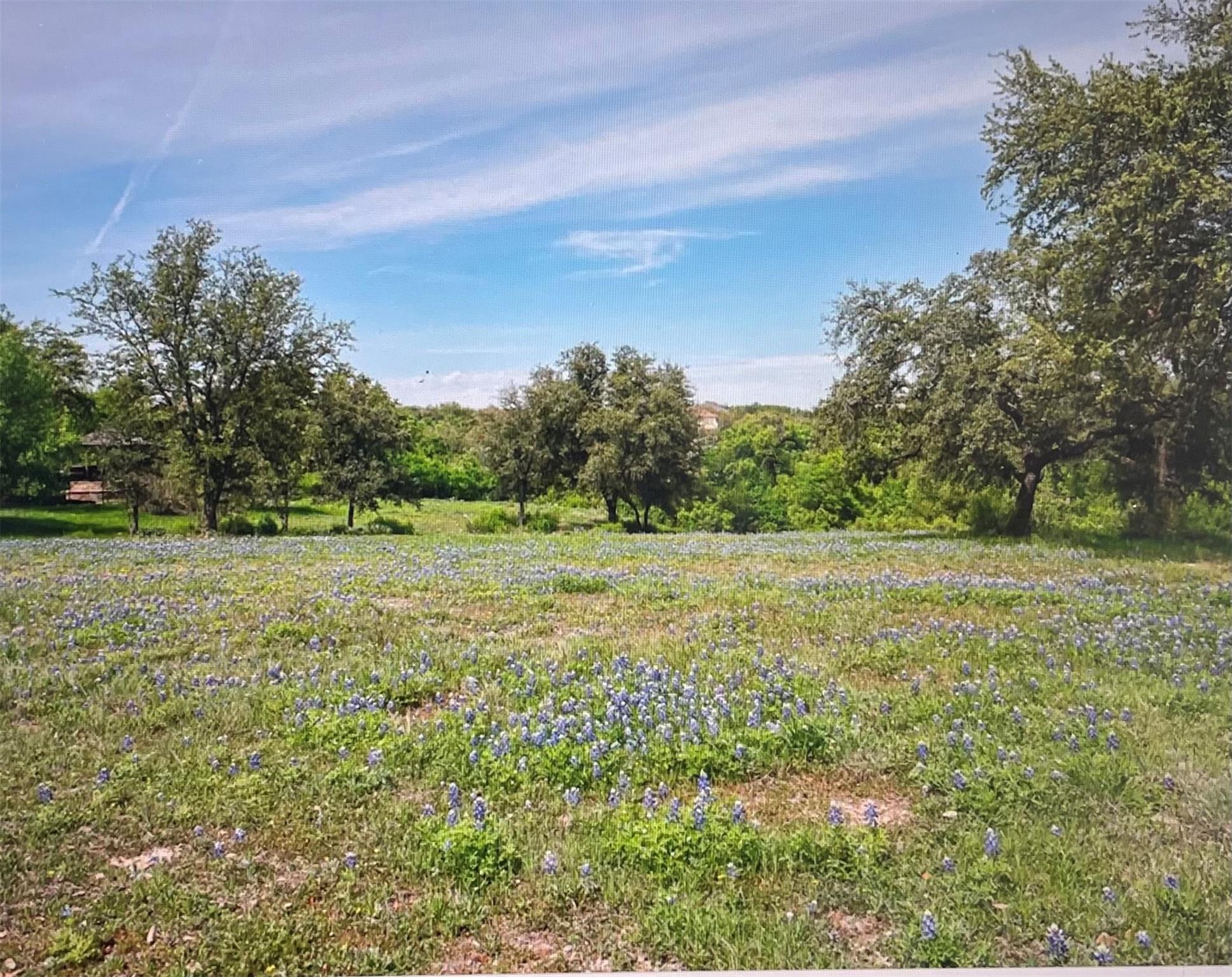 26006 Masters Parkway Spicewood TX 78669