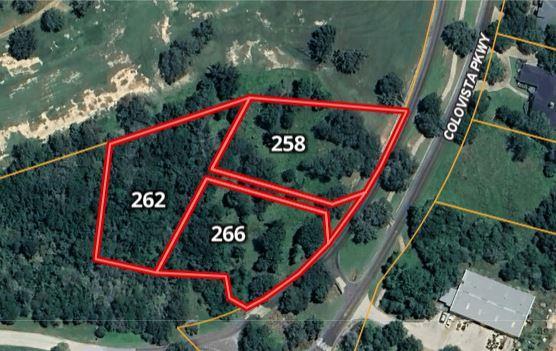 262 Colovista Parkway Bastrop TX 78602