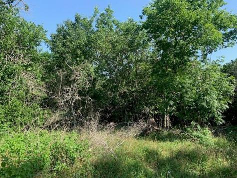 262 Colovista Parkway Bastrop TX 78602
