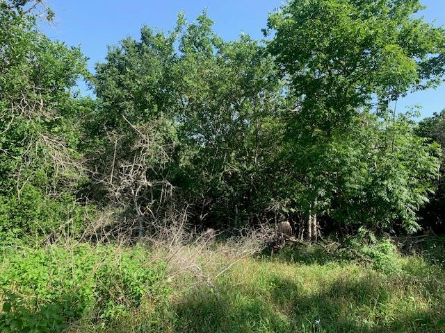 262 Colovista Parkway Bastrop TX 78602
