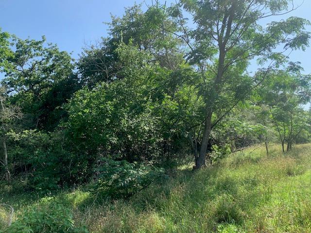 262 Colovista Parkway Bastrop TX 78602