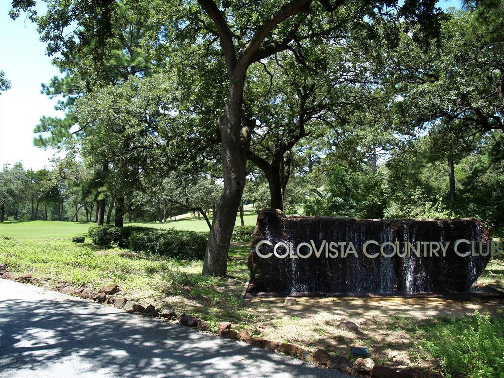 262 Colovista Parkway Bastrop TX 78602