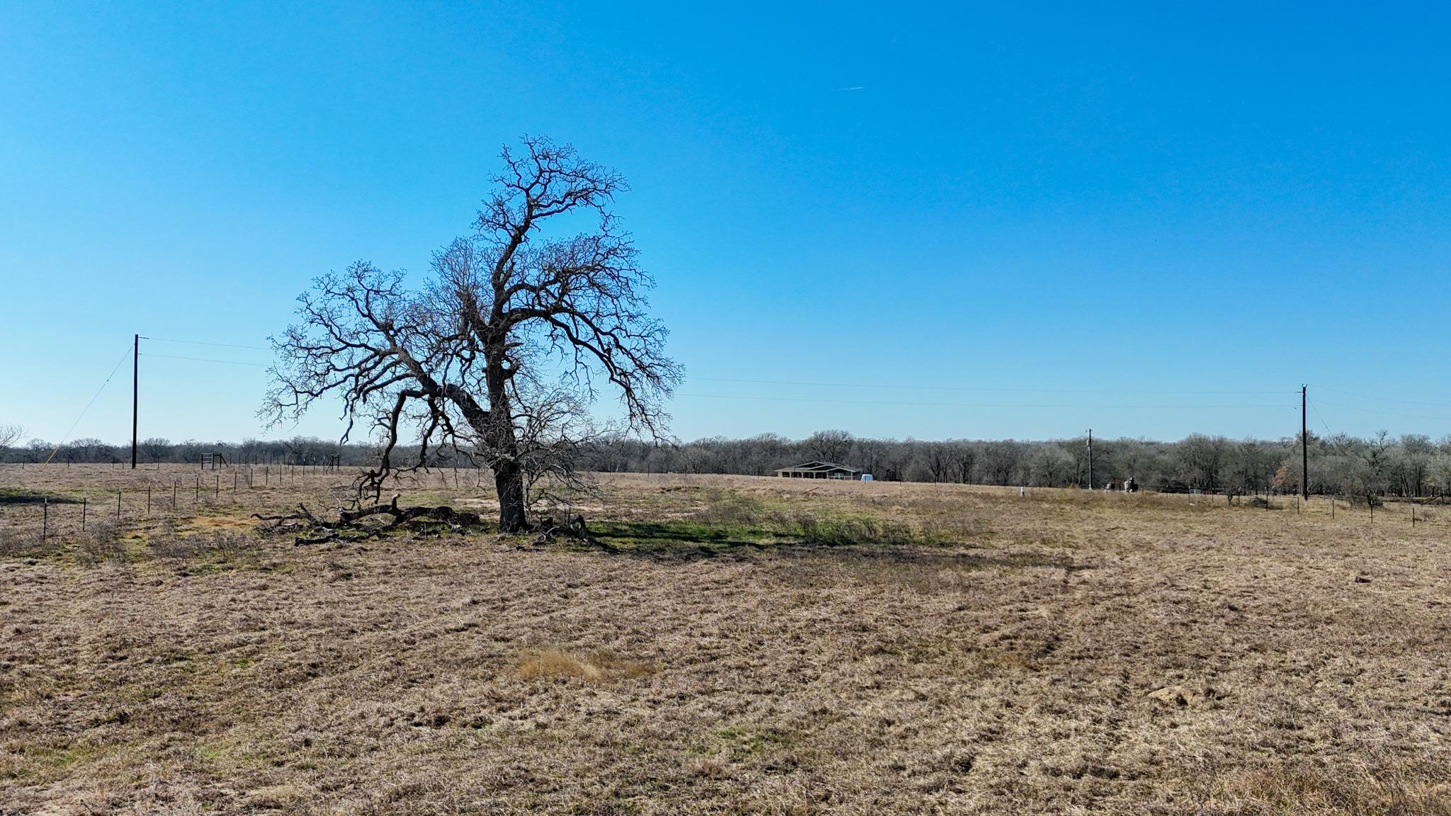 8244 Old Colony Line Road Dale TX 78616