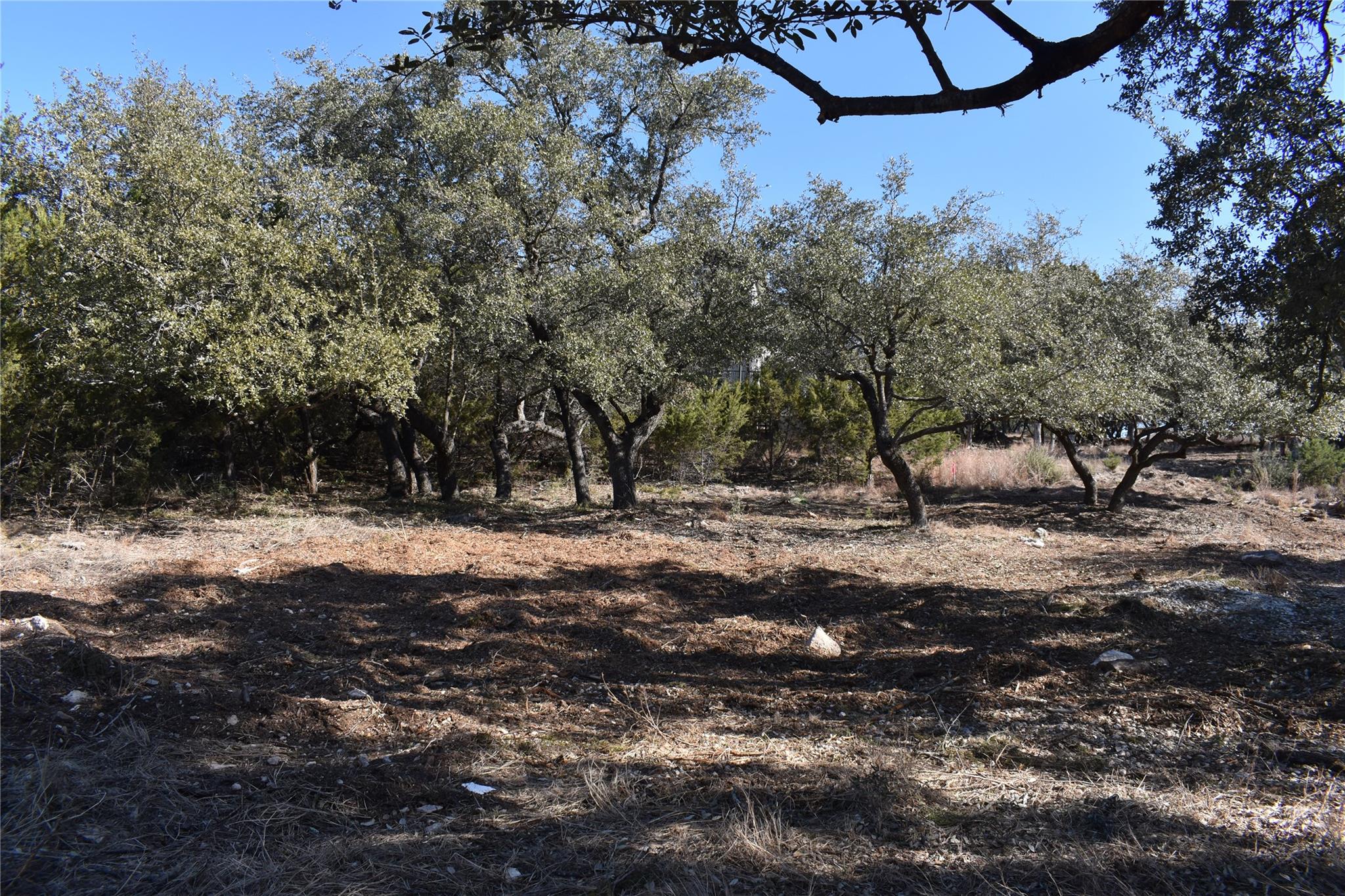 21719 Sierra Trail Lago Vista TX 78645