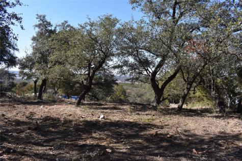 21719 Sierra Trail Lago Vista TX 78645