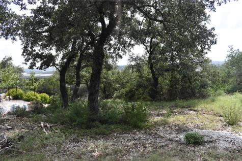 21719 Sierra Trail Lago Vista TX 78645