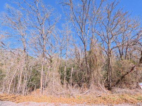 236 Iva Lane Bastrop TX 78602