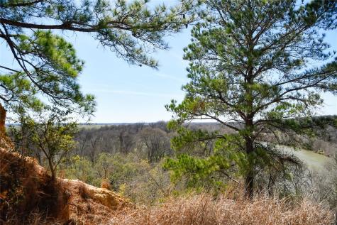 236 Iva Lane Bastrop TX 78602